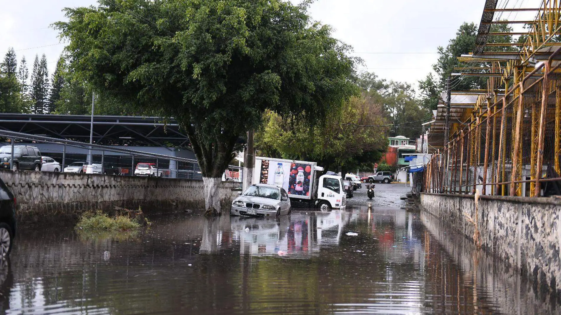 Lluvia | Inundación 